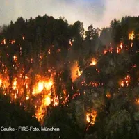 waldbrand.jpg
